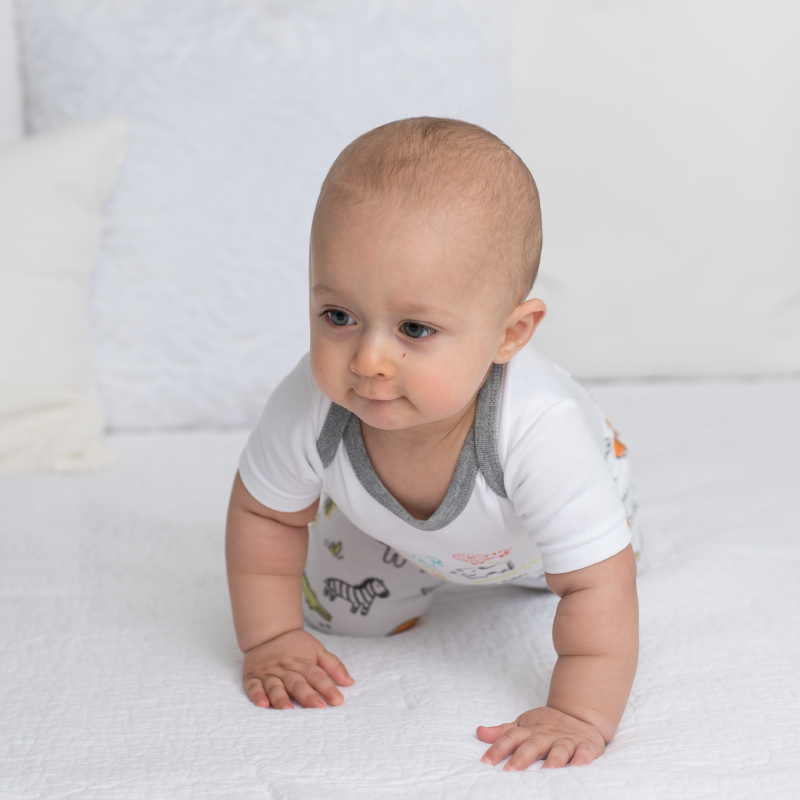 Baby On Safari T-shirt &amp; Short Set - White