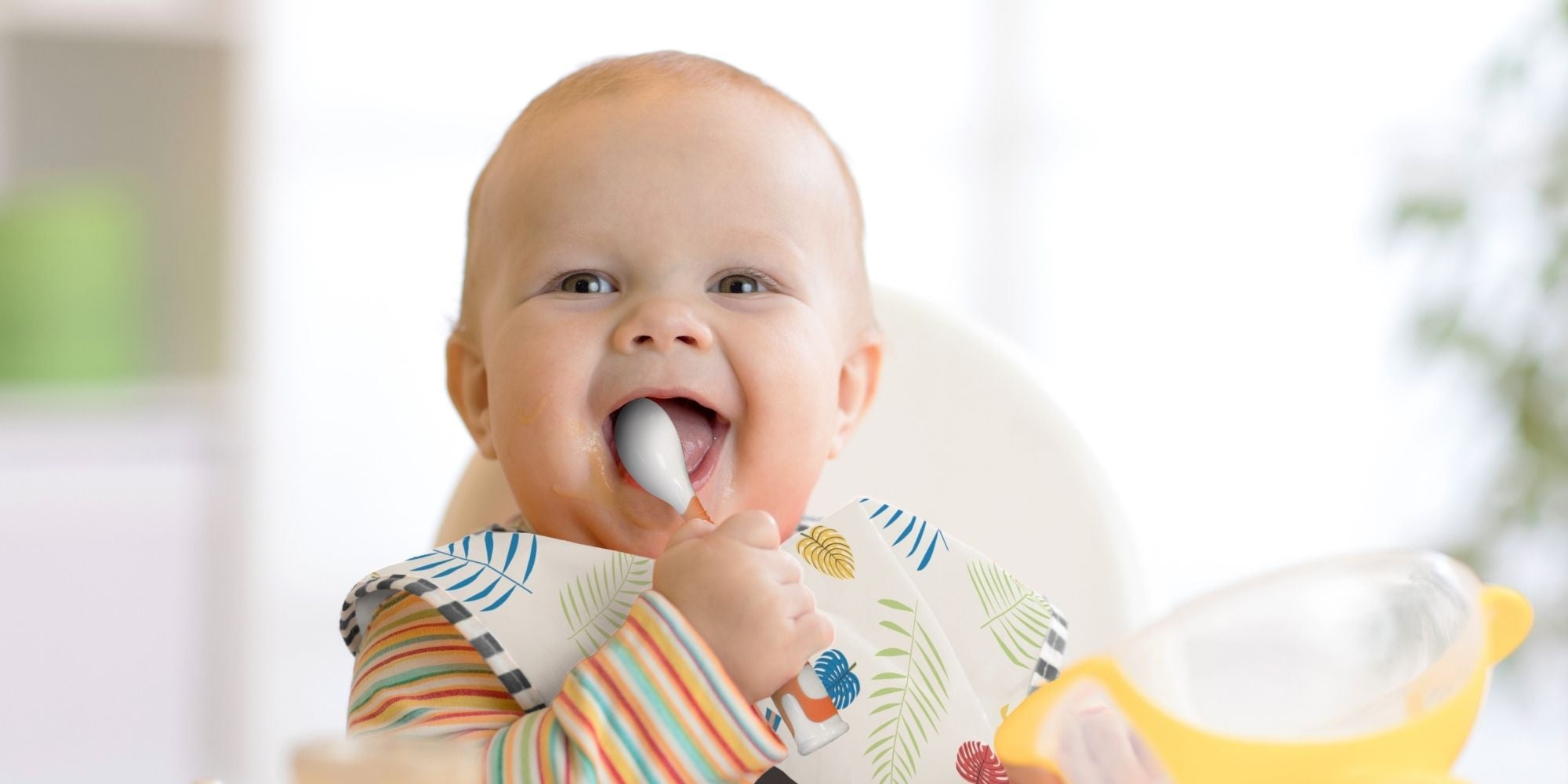 The 7 Must-Have’s for Solid Foods